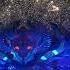 Defqon 1 Weekend Festival 2018 Endshow Saturday