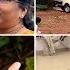 Namma Masala Production Gu Posa Machine Bathnd Vishu 4 Wheeler Kalte