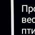 TOP MUZON GIPSY Цыганская песня 2020 Пролетели весенние птицы 2020