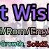 Best Wishes Full SOARA Growth SolidS QUELL ซ บไทย