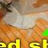Heated Shower Floor And Bench Seat Here Is How