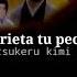 Kochoki Wakaki Nobunaga OP Traducción En Español