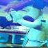 Wallace And Gromit Curse Of The Were Rabbit Trailer