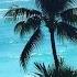 Refresh My Best Of William Franklyn Miller
