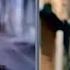 Şımarık Tarkan Vs María Ricky Martin STRANGELY SIMILAR SCENES