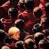 LITTLE BUDDHA 1993 VO