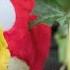 Angry Birds On The Run S2 Here We Go Again Ep1