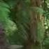 Carnotaurus Sound Effects Prehistoric Planet