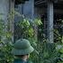 Full Video A Young Soldier Returning To His Old Home Building A House And Finding Life Again