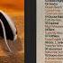 Ministry Of Sound The Chillout Session Ibiza 2002 Cd1