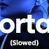 Warriyo Mortals Ft Laura Brehm Slowed