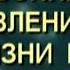 Сезонные явления в жизни птиц Биология