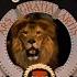 Metro Goldwyn Mayer Logo September 17 1956
