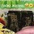 Shorts КТО ИЛИ ЧТО ВОРВЁТСЯ В ТВОЮ ЖИЗНЬ ТОЧНОЕ ГАДАНИЕ НА ТАРО