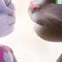 Talking Tom Friends The Perfect Day Season 1 Episode 26