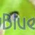 RQ All Preview 2 Classic Sunny Bunnies Deepfakes Newer Edition In G Major 22 LOUD