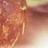 Attract Love Romance Harmony Venus S Spin Frequency Theta Binaural Beats