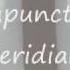 Acupuncture Dr Craig Schadow Coon Rapids Minnesota