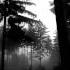 Receptor Ft K I R A Lullaby 720p HD