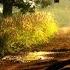 In The Still Of The Night Brazilian Tropical Orchestra Lyrics Song Info 4K Musical Video