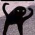 I M Batman Cat Edit Meme Capcut