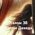 Псалом Давида 38 давид псалтырь псалтирь псалми иисус иешуа машиах царь спаситель бог God