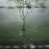 Fade To Grey