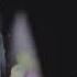 LOSA Ft Holy Kush Dont Play Nice Official Video