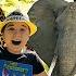 All About Wild Animals ZOO ANIMALS For Kids BEST ANIMAL ADVENTURE Park