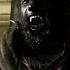 The Wolfman 8 10 Movie CLIP Wolfman In London 2010 HD