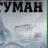 Аудиокнига Туман Стивен Кинг Глава 6