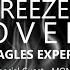 Hell Freezes Over Eagles Tribute