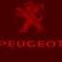 I Accidentally Peugeot
