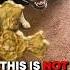 My Dog Came Home As A Skinwalker Scarystories Shorts Creepy