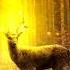 Celtic Fantasy Music The Deer King
