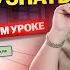 Обществознание ЕГЭ с нуля все о судебной системе Умскул