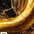 Beats Bananas 008 Drop The Year Deep House Tech House