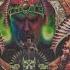 Primitive Peuali 2025 PSYTRANCE SET