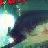 Daniel James Shark In The River Russian Cover By Danvol Maneater OST