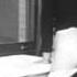 Sex Hygiene 1942 Naval Film