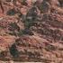 The Bedouin Of Petra Al Jazeera World
