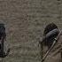 Most Disturbing Walking Dead Scene In A Long Time 9x15 Head On Pikes Scene