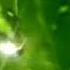 Nokia Nature Ringtone Play Video 99