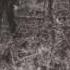 Thurisaz Years Of Silence Lyrics