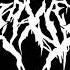 PRXJEK ANTISOCIAL WITH AN ACTUAL MIX