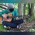 S T A L K E R Player In C Guitar Version сталкер Stalker Music Bandit бандит музыка