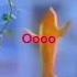 Bailando Bailando Amigos Adios Fish Dances Bailando Elitememepage