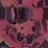 VERY RARE DOOMSHOP IDS Check Description