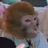 ZICO ARTIST MV REACTION WHAT THE ACTUAL
