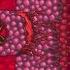 How To Beat The WALL OF FLESH Terraria 2024 Guide